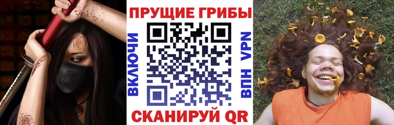 Купить где  Баксан  Галлюциногенные грибы ЛСД 